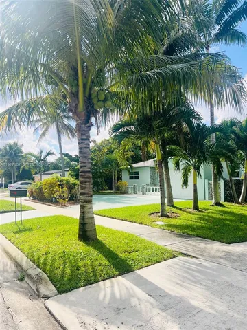 a view of a park with palm trees
