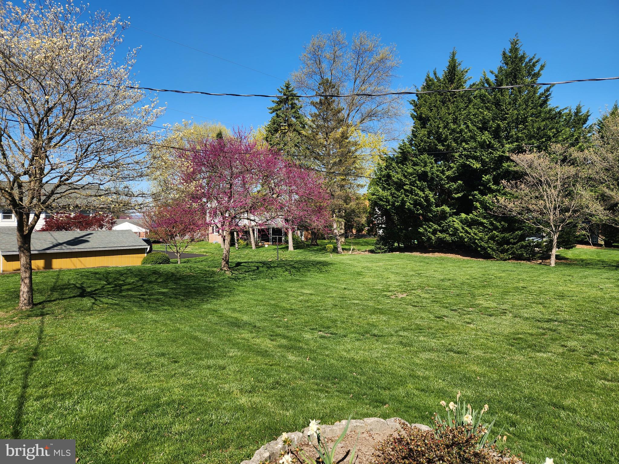 1116 Devonshire Road Lancaster, PA 17601 - Photo 33 of 70 a backyard of a house with lots of green space