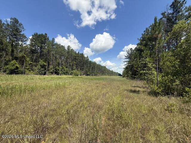 Elmer Hamilton Road Road Moss Point, MS 39562 - Photo 8 of 27 IMG_4833