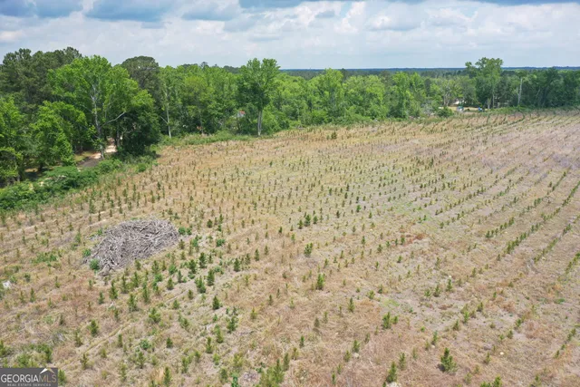 a view of a yard with plants and brick wall
