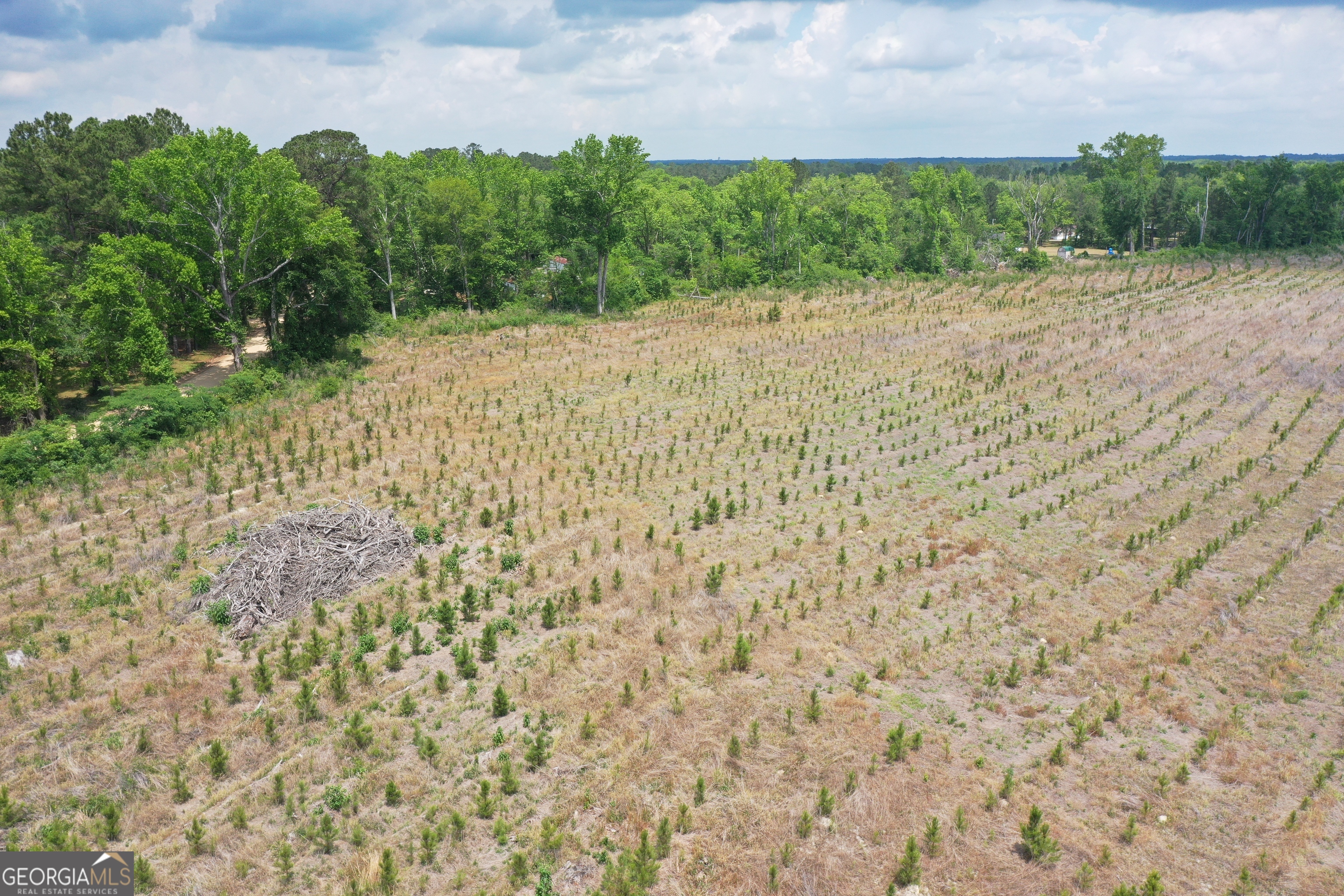 0 R L R L Lee Road, Unit 9 Statesboro, GA 30461 - Photo 1 of 1 a view of a yard with plants and brick wall
