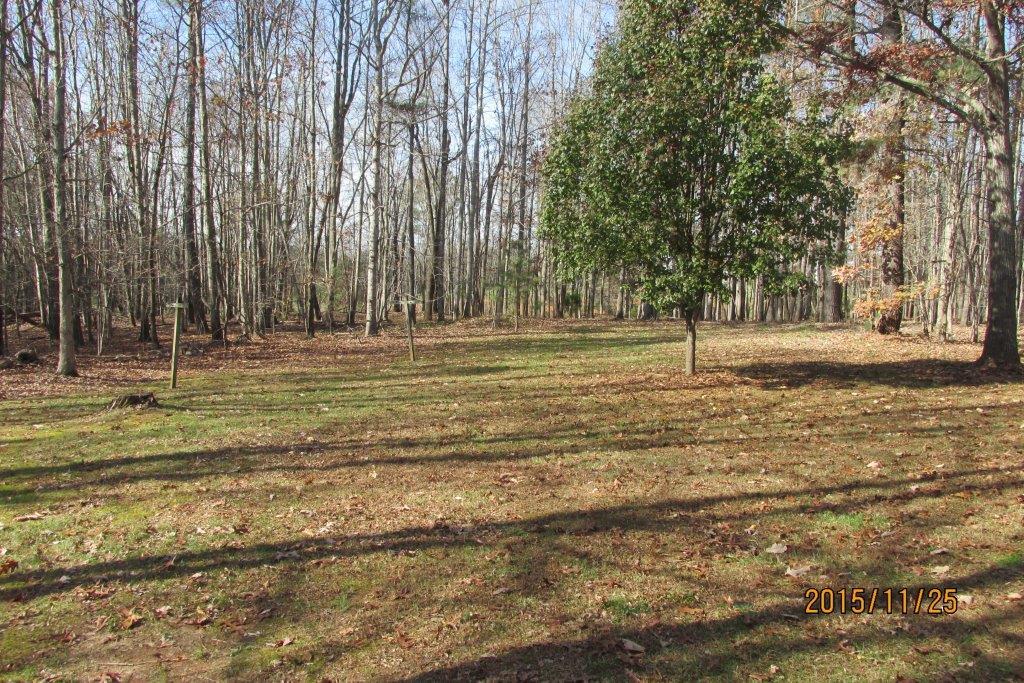 1235 Wapiti Run Road Moneta, VA 24121 - Photo 14 of 19 Large Flat Yard