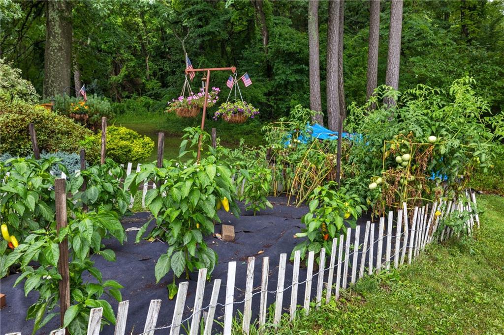 3746 Matthews Road Edinburg, PA 16116 - Photo 9 of 36 a view of a backyard with plants and large trees