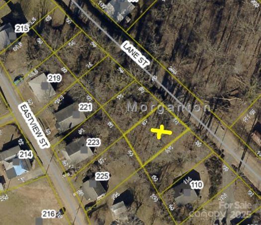 106 Lane Street, Unit 6 Morganton, NC 28655 - Photo 19 of 19 an aerial view of residential houses with outdoor space