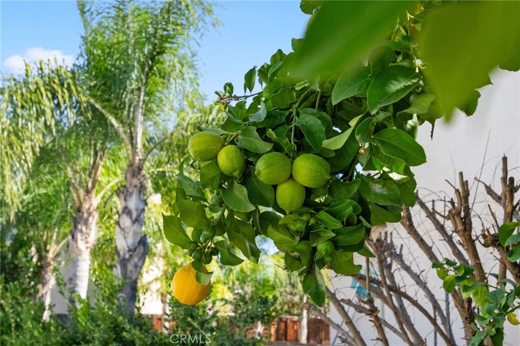 21660 Front Street Wildomar, CA 92595 - Photo 67 of 68