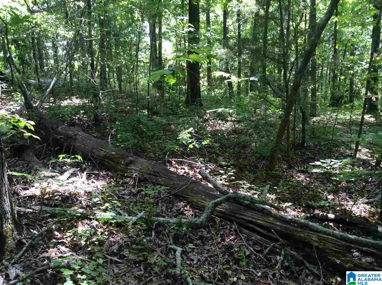 Hoyt Hill Road, Unit 1 Ashville, AL 35953 - Photo 9 of 13