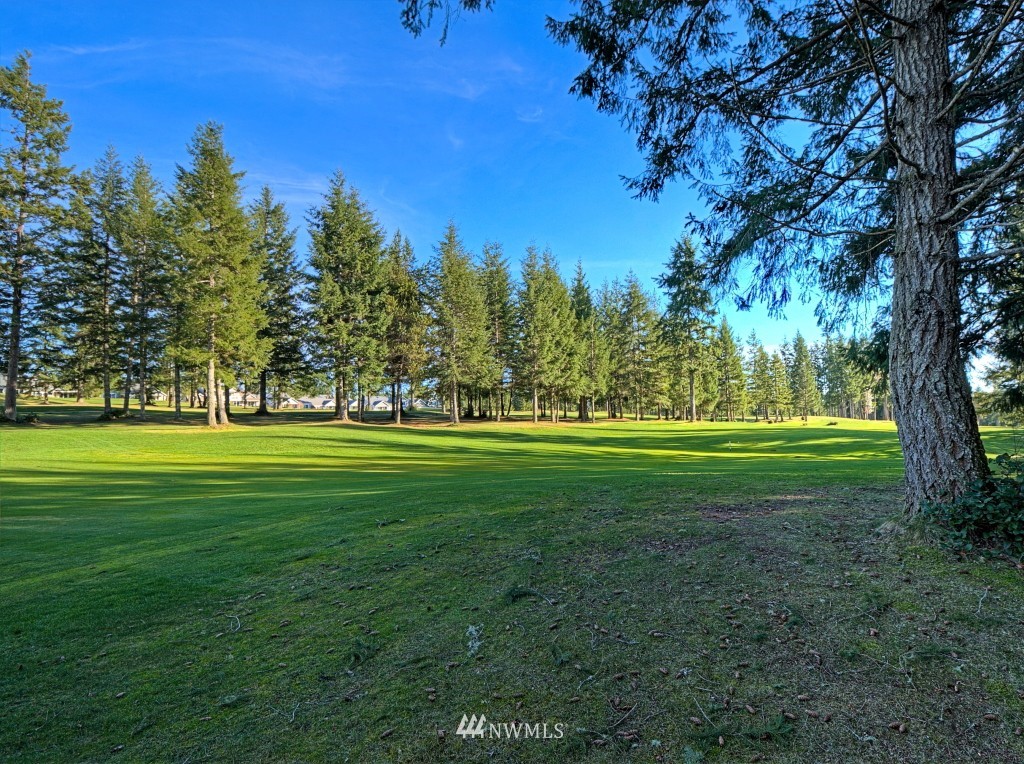 650 East Soderberg Road Allyn, WA 98524 - Photo 2 of 21 Gallery Image 2