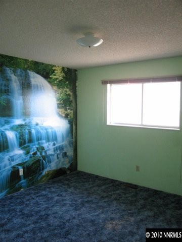 1517 Red Road Fallon, NV 89406 - Photo 7 of 13 view of an empty room with a window