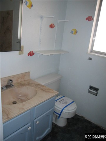 1517 Red Road Fallon, NV 89406 - Photo 8 of 13 a bathroom with a sink and a toilet