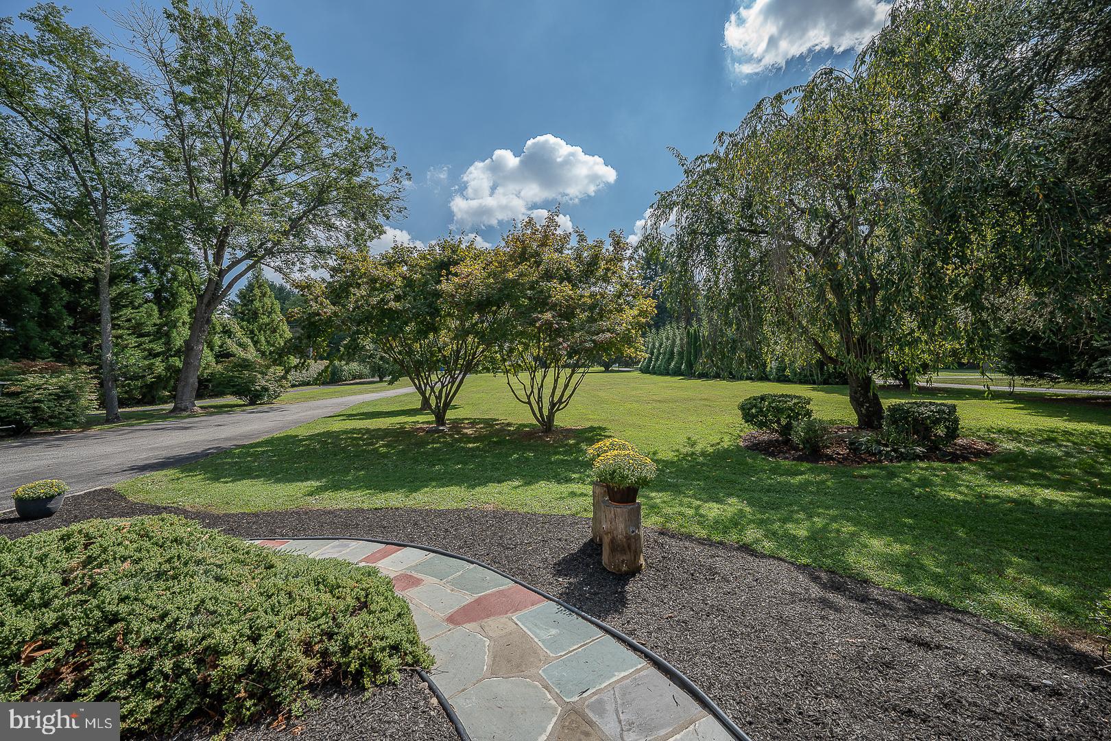 39 Forge Road Glen Mills, PA 19342 - Photo 6 of 71 Front lawn view from patio