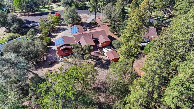 a backyard of a house with large trees and wooden fence