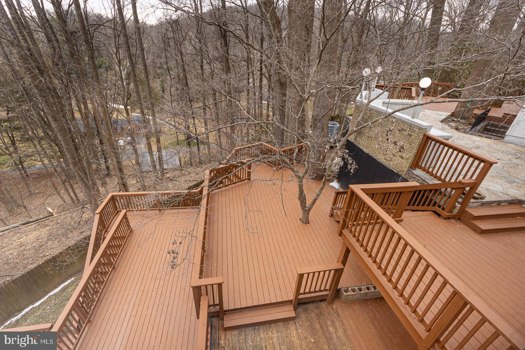 903 Ivy Hill Road Cockeysville, MD 21030 - Photo 90 of 100 Serene deck nestled in wooded tranquility.