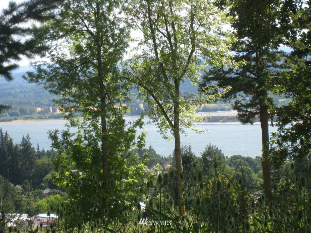 905 Taylor Road Kalama, WA 98625 - Photo 1 of 13 Gallery Image 1
