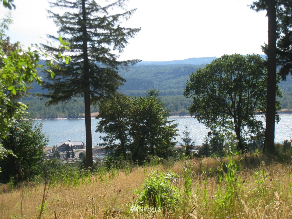 905 Taylor Road Kalama, WA 98625 - Photo 2 of 13 Gallery Image 2