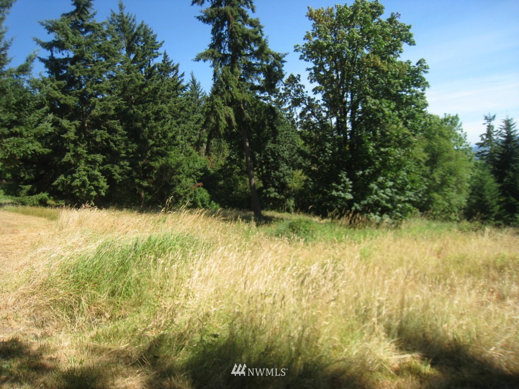 905 Taylor Road Kalama, WA 98625 - Photo 11 of 13 Gallery Image 11