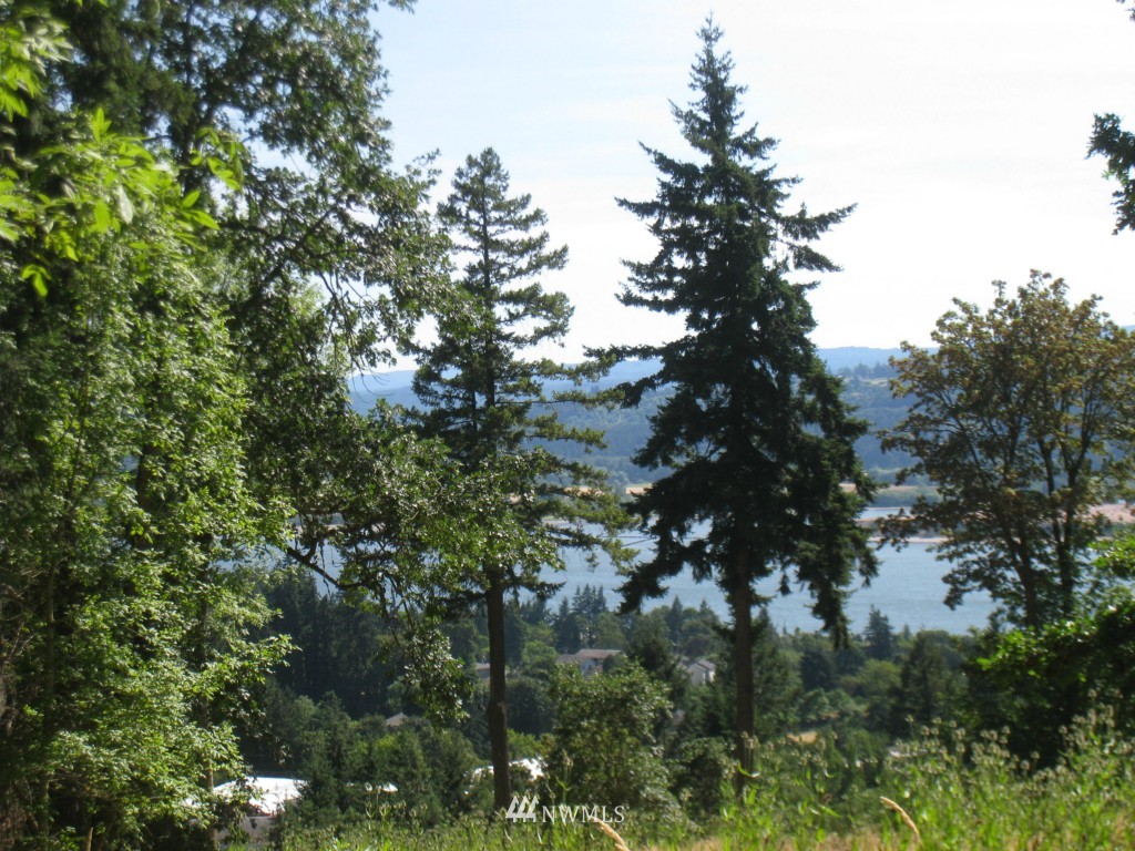 905 Taylor Road Kalama, WA 98625 - Photo 3 of 13 Gallery Image 3