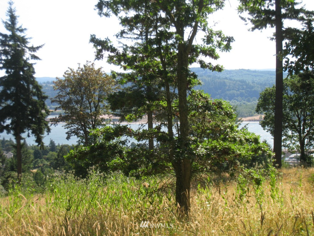 905 Taylor Road Kalama, WA 98625 - Photo 4 of 13 Gallery Image 4
