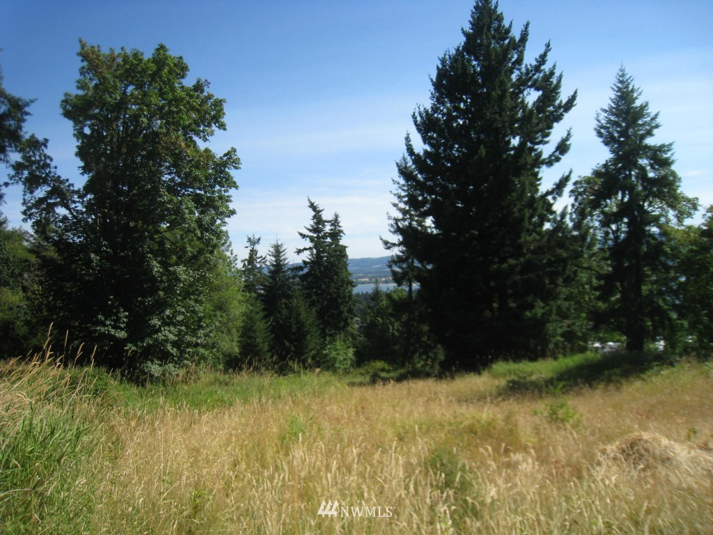 905 Taylor Road Kalama, WA 98625 - Photo 7 of 13 Gallery Image 7
