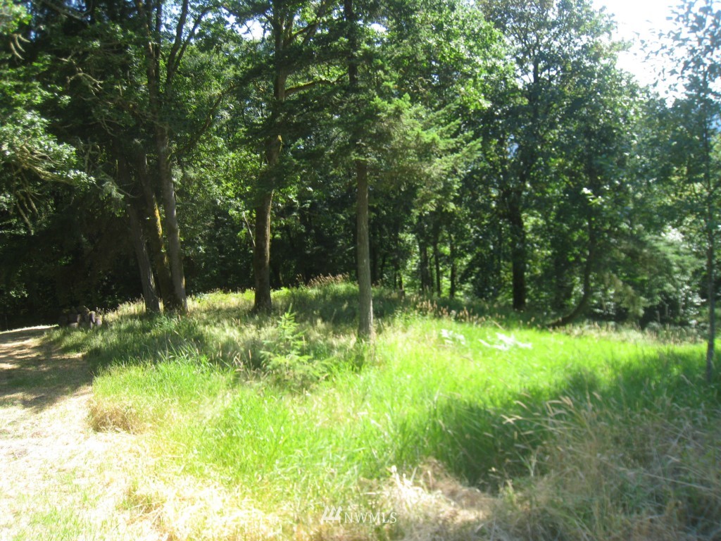905 Taylor Road Kalama, WA 98625 - Photo 8 of 13 Gallery Image 8