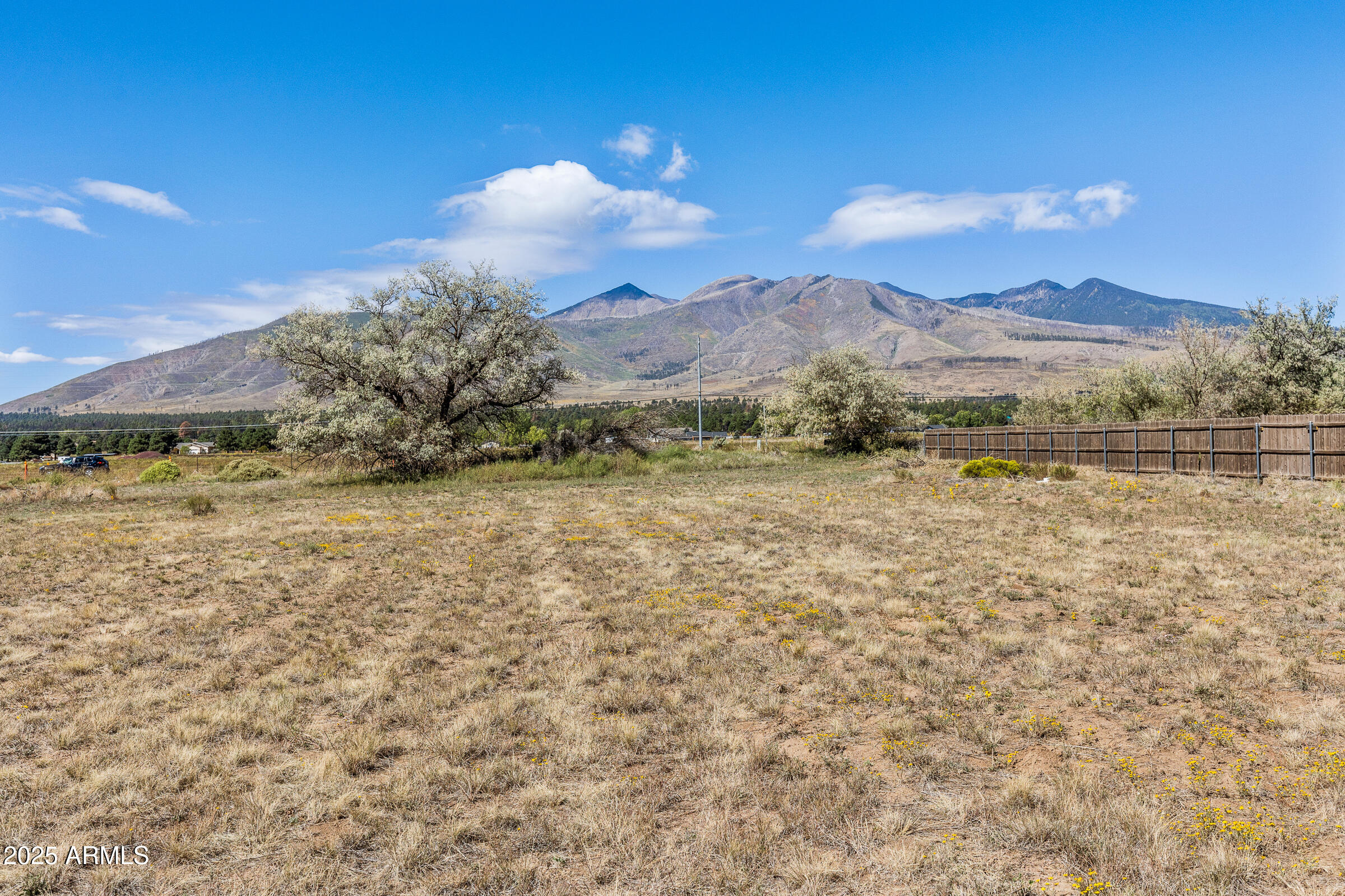 6040 East Robles Road Flagstaff, AZ 86004 - Photo 8 of 38 6040 E Robles-009