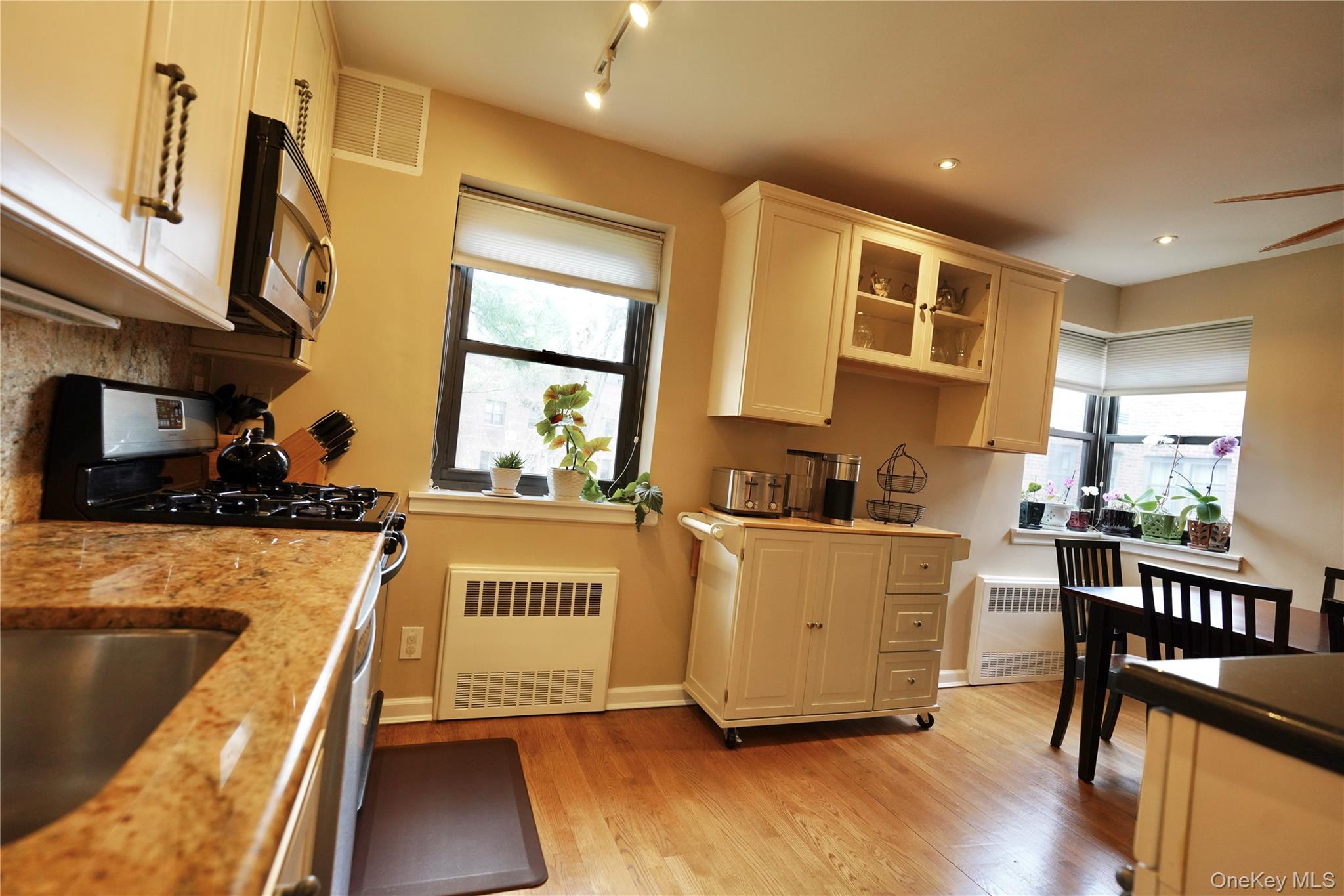 50 Brompton Road, Unit 3C Great Neck, NY 11021 - Photo 12 of 32