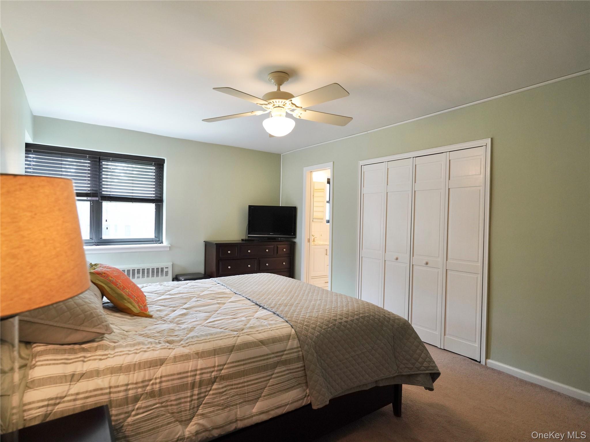 50 Brompton Road, Unit 3C Great Neck, NY 11021 - Photo 19 of 32