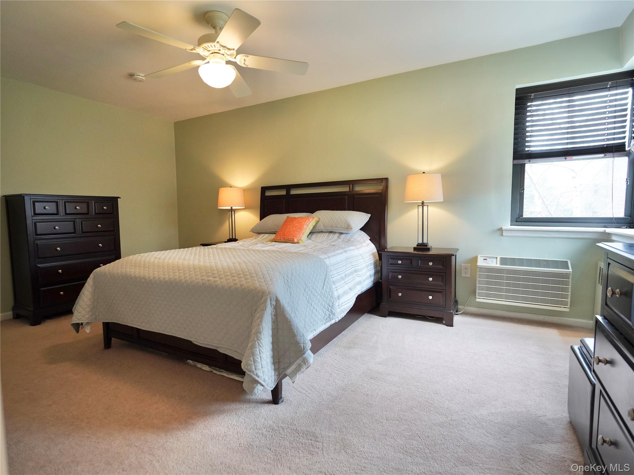 50 Brompton Road, Unit 3C Great Neck, NY 11021 - Photo 22 of 32