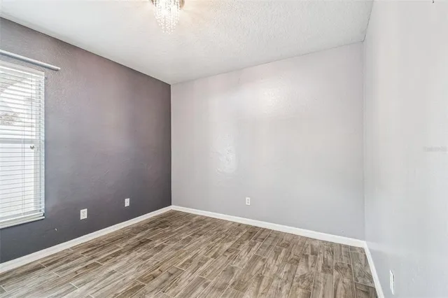 a view of a backyard with large trees and plants