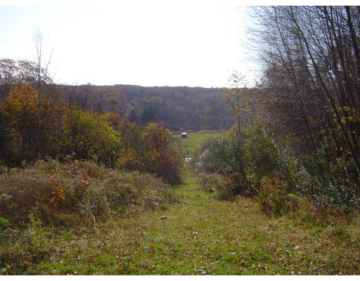 a view of mountain and grassy field