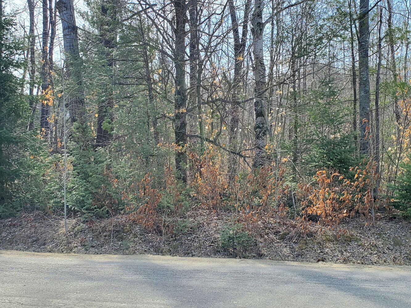 6 Hope Road Newport, ME 04953 - Photo 10 of 13 20230414_101147