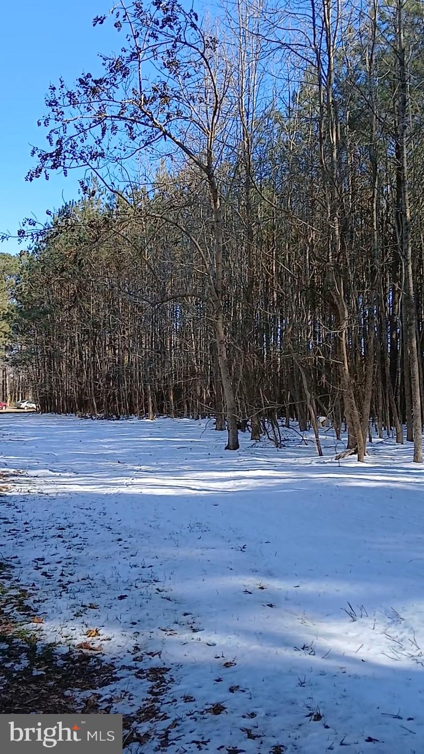 0 South Upper Ferry Road Eden, MD 21822 - Photo 2 of 5 a view of a tennis court