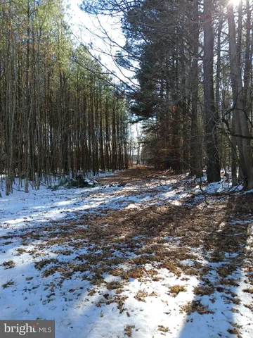 a view of outdoor space with trees