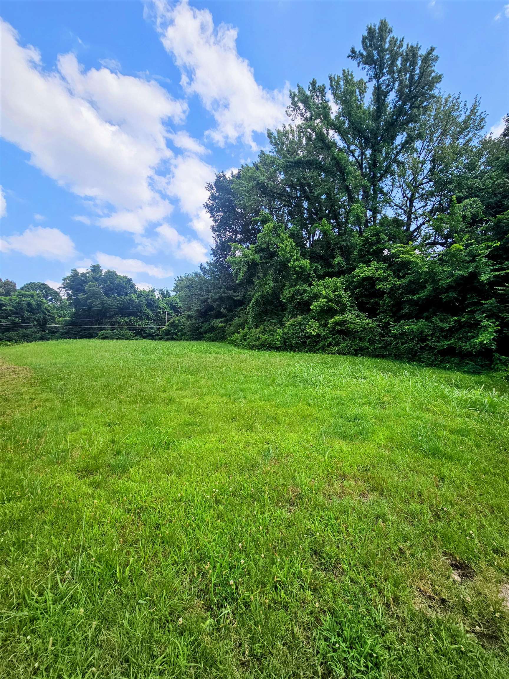 3563 Boxtown Road Memphis, TN 38109 - Photo 2 of 3