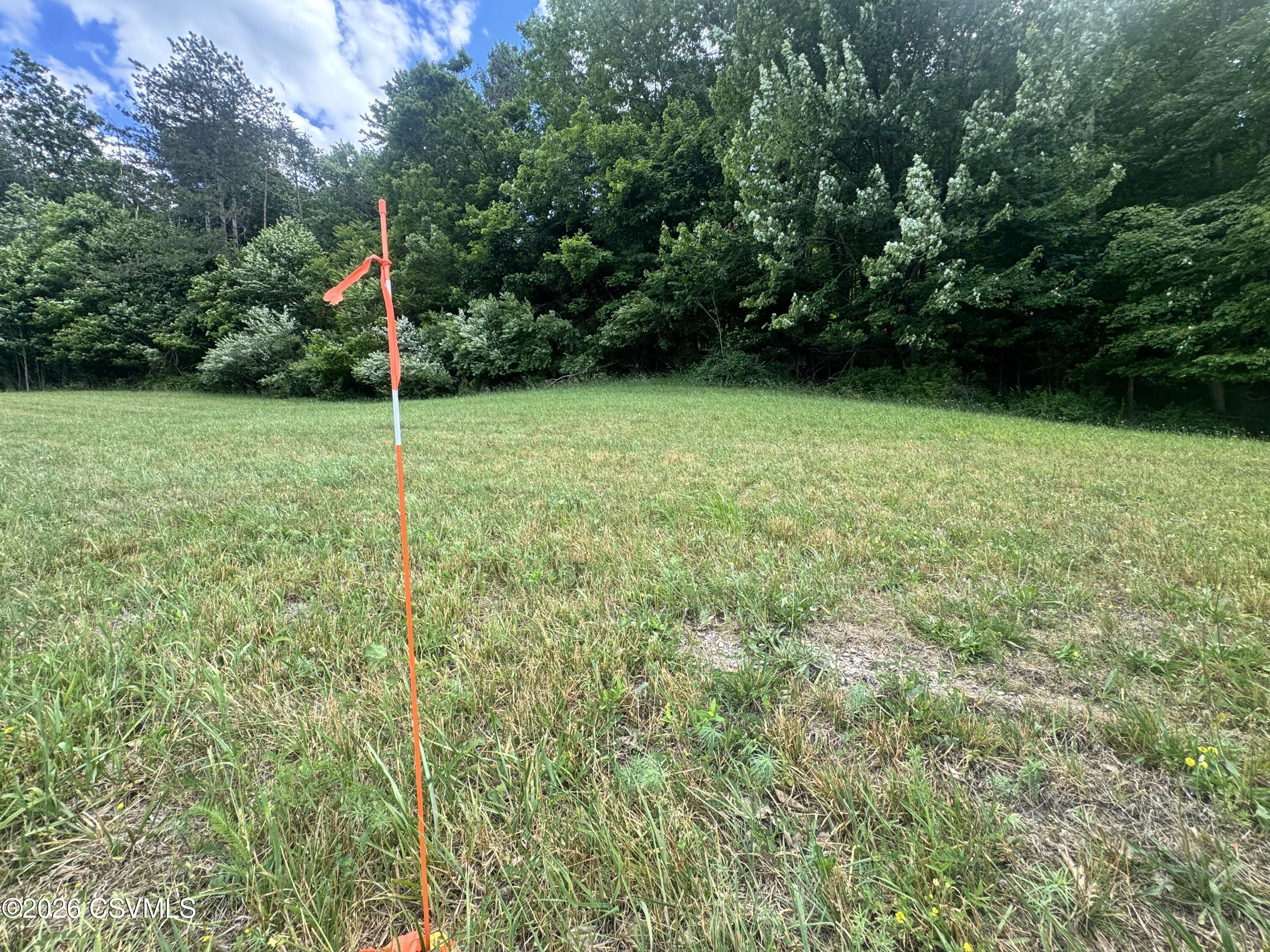 Lot #6 Old Reading Road Sunbury, PA 17801 - Photo 2 of 9