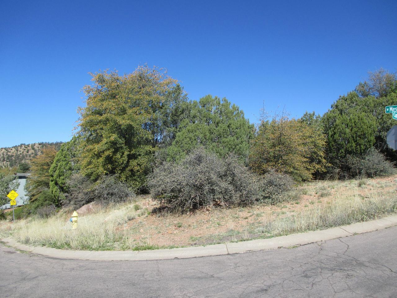 404 South Canpar Way Payson, AZ 85541 - Photo 1 of 9