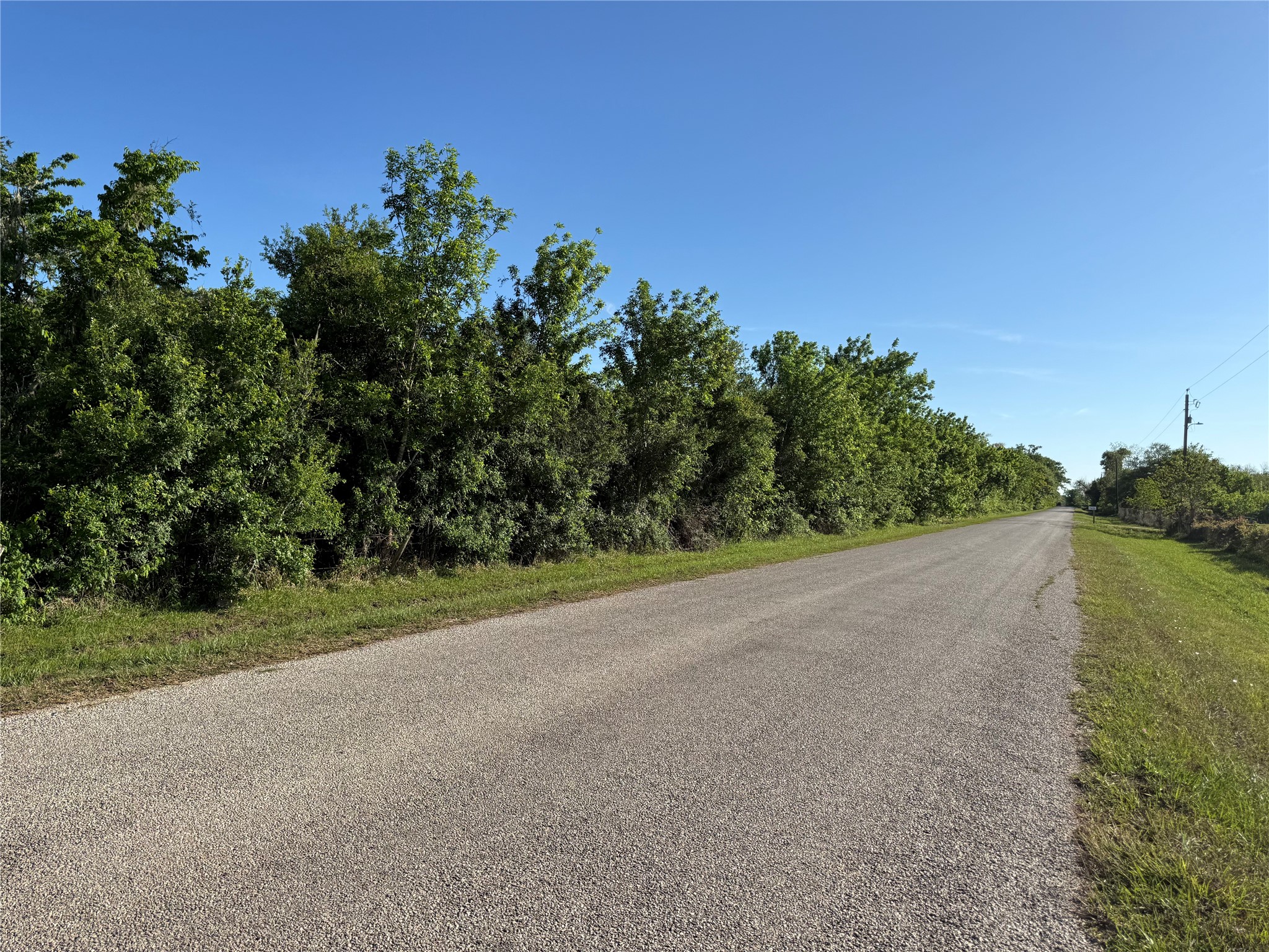 281 Rd Sargent Tx 77414 Road Sargent, TX 77414 - Photo 4 of 23 a view of a field with trees in background