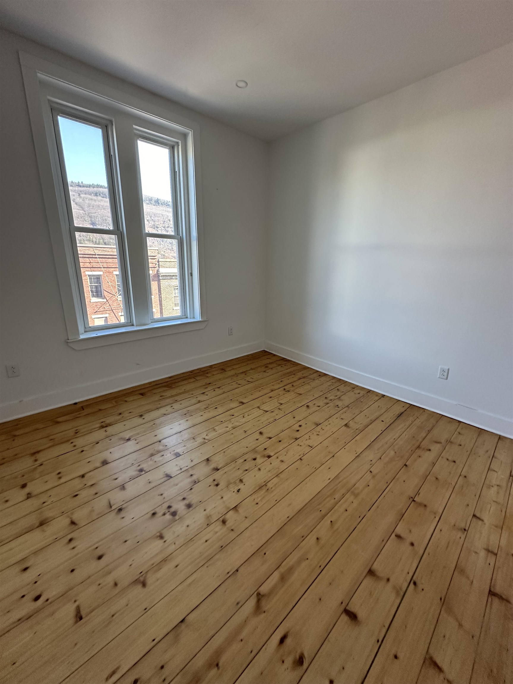 4 Elliot Street, Unit 11 Brattleboro, VT 05301 - Photo 7 of 9