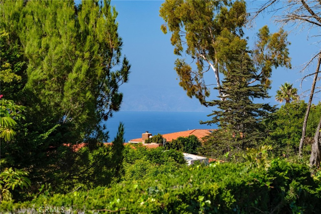 28405 Golden Meadow Drive Rancho Palos Verdes, CA 90275 - Photo 42 of 42 a view of a plants