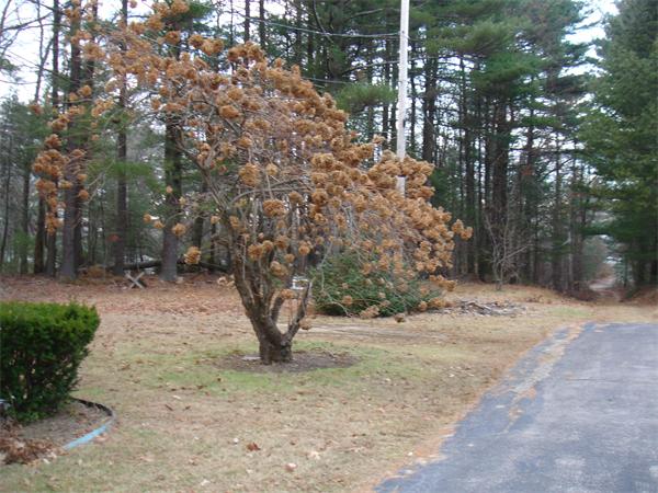 19 Kersey Road Foxboro, MA 02035 - Photo 16 of 19 Gallery Image 16