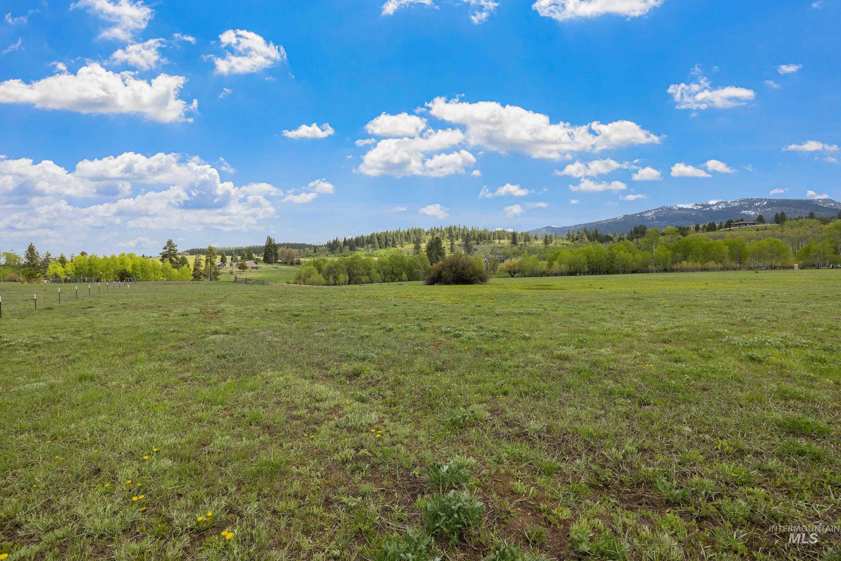 Tbd Shaw Road McCall, ID 83638 - Photo 10 of 20