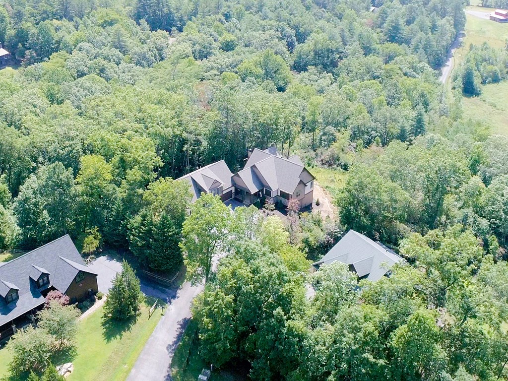 205 Hightower Ridge Drive Hiawassee, GA 30546 - Photo 59 of 60