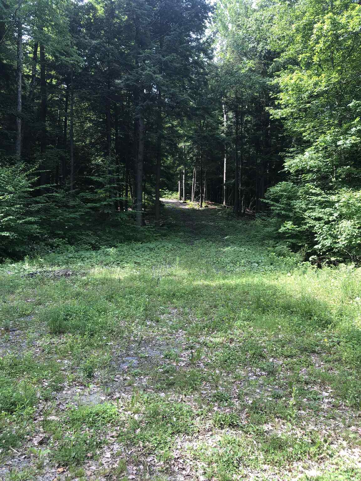 2495 West Lake Road Poultney, VT 05774 - Photo 5 of 9 Gallery Image 5
