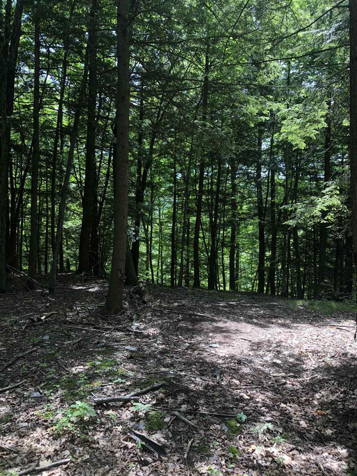 2495 West Lake Road Poultney, VT 05774 - Photo 7 of 9 Gallery Image 7