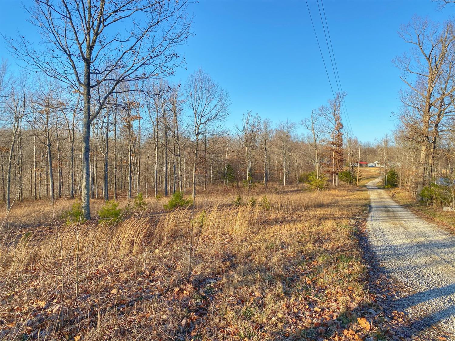 1 Lower Cane Creek Road Stanton, KY 40380 - Photo 3 of 6 Photo 3