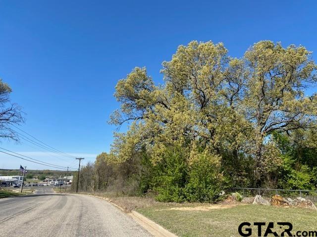Tbd Rocky Ridge Road Athens, TX 75751 - Photo 6 of 6 a view of a bunch of trees and bushes