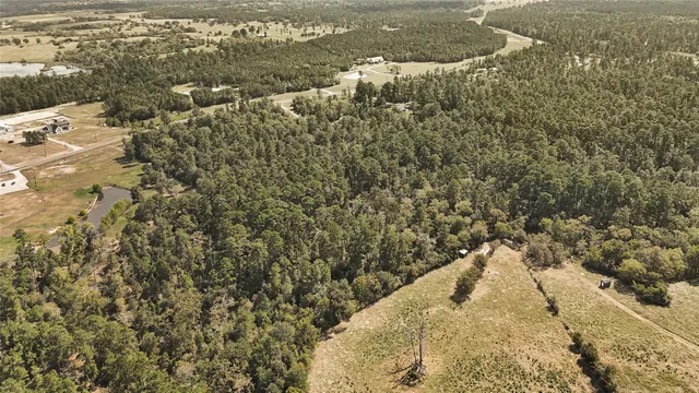 $625,000 | 50 Fm 3179 Road, Huntsville, TX 77320