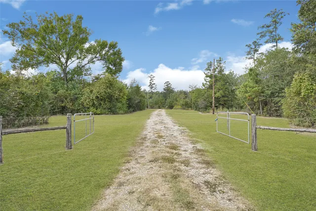 a view of a field with trees in the background