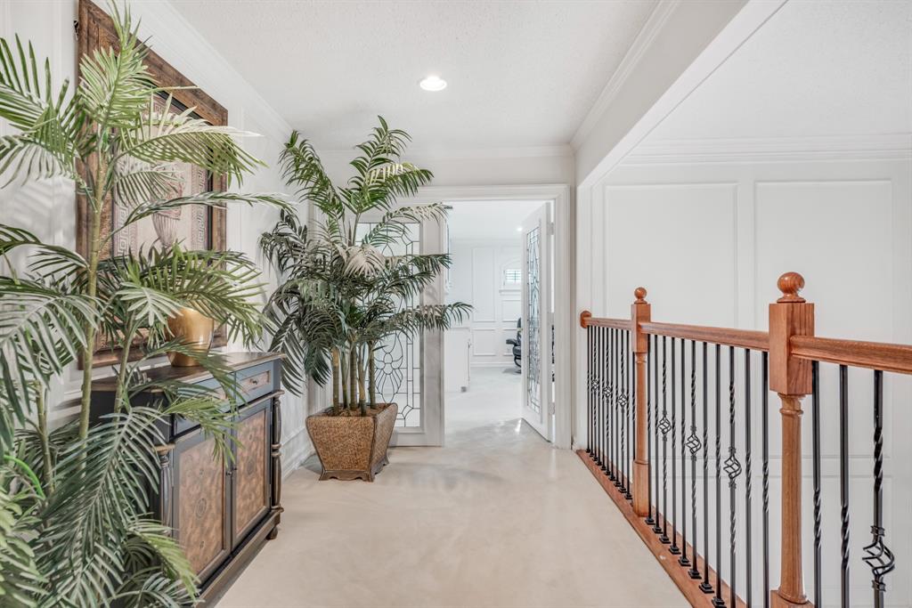 7204 Debbe Drive Dallas, TX 75252 - Photo 24 of 40 a view of a flower pot with a potted plant