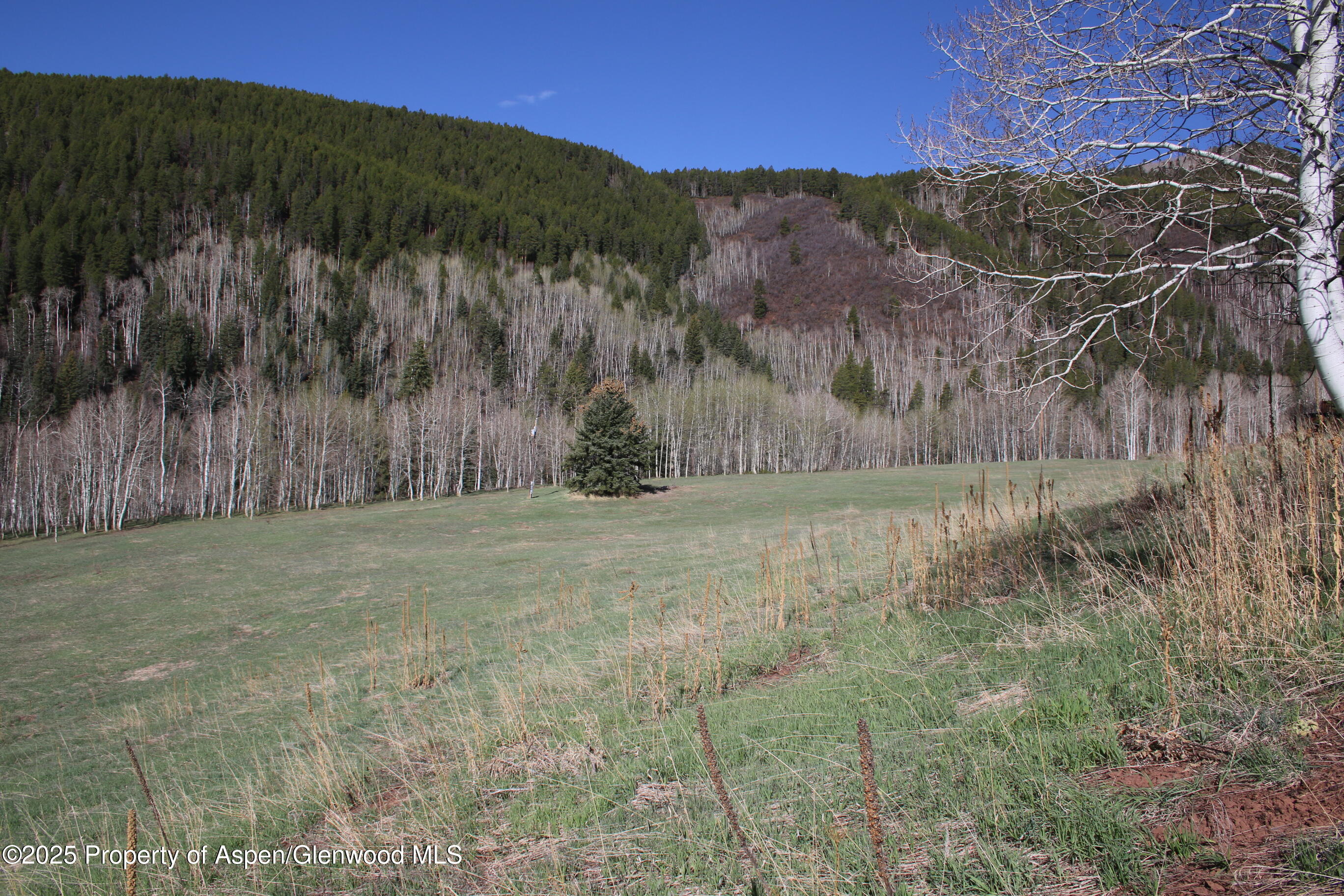 575 McLaughlin Lane Basalt, CO 81621 - Photo 10 of 14 575 McLaughlin - Upper Meadow