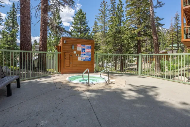 a view of a park with large trees